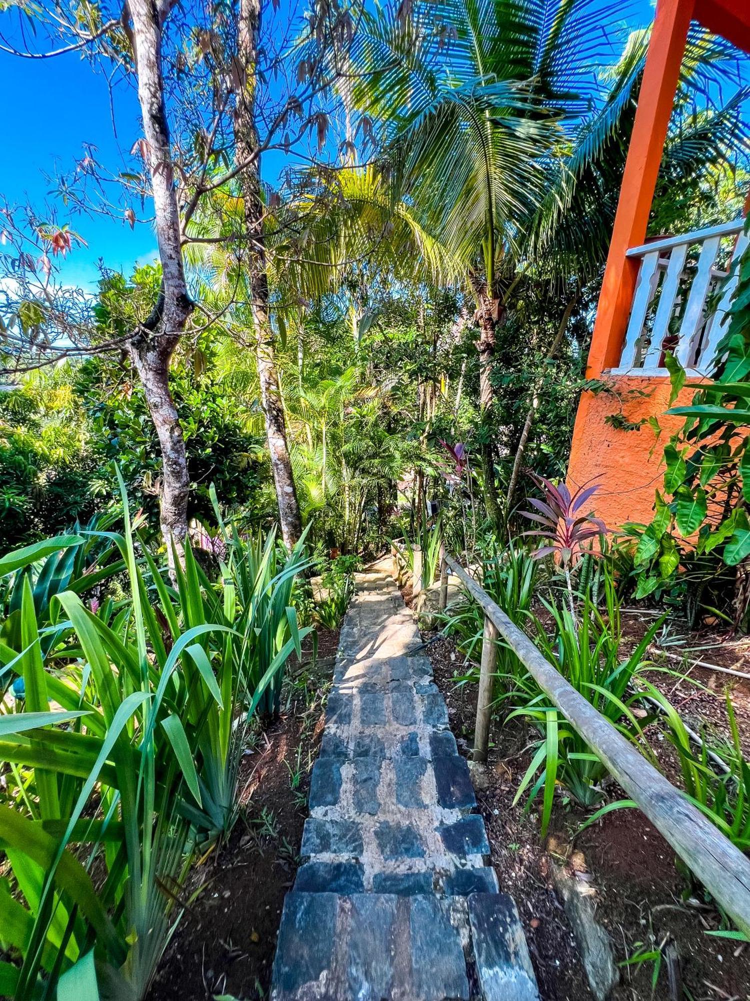 Hostel Zen - Casa Na Floresta Itacaré Exteriör bild