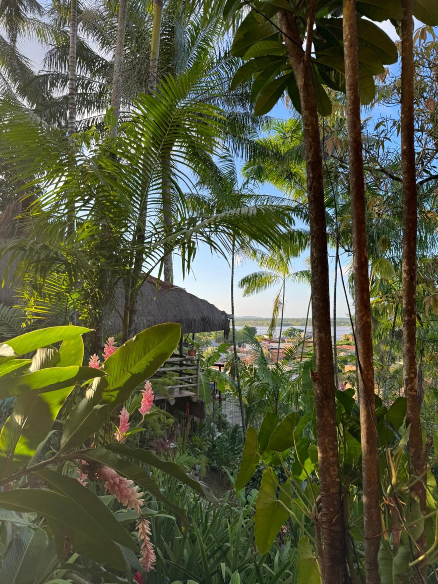 Hostel Zen - Casa Na Floresta Itacaré Exteriör bild