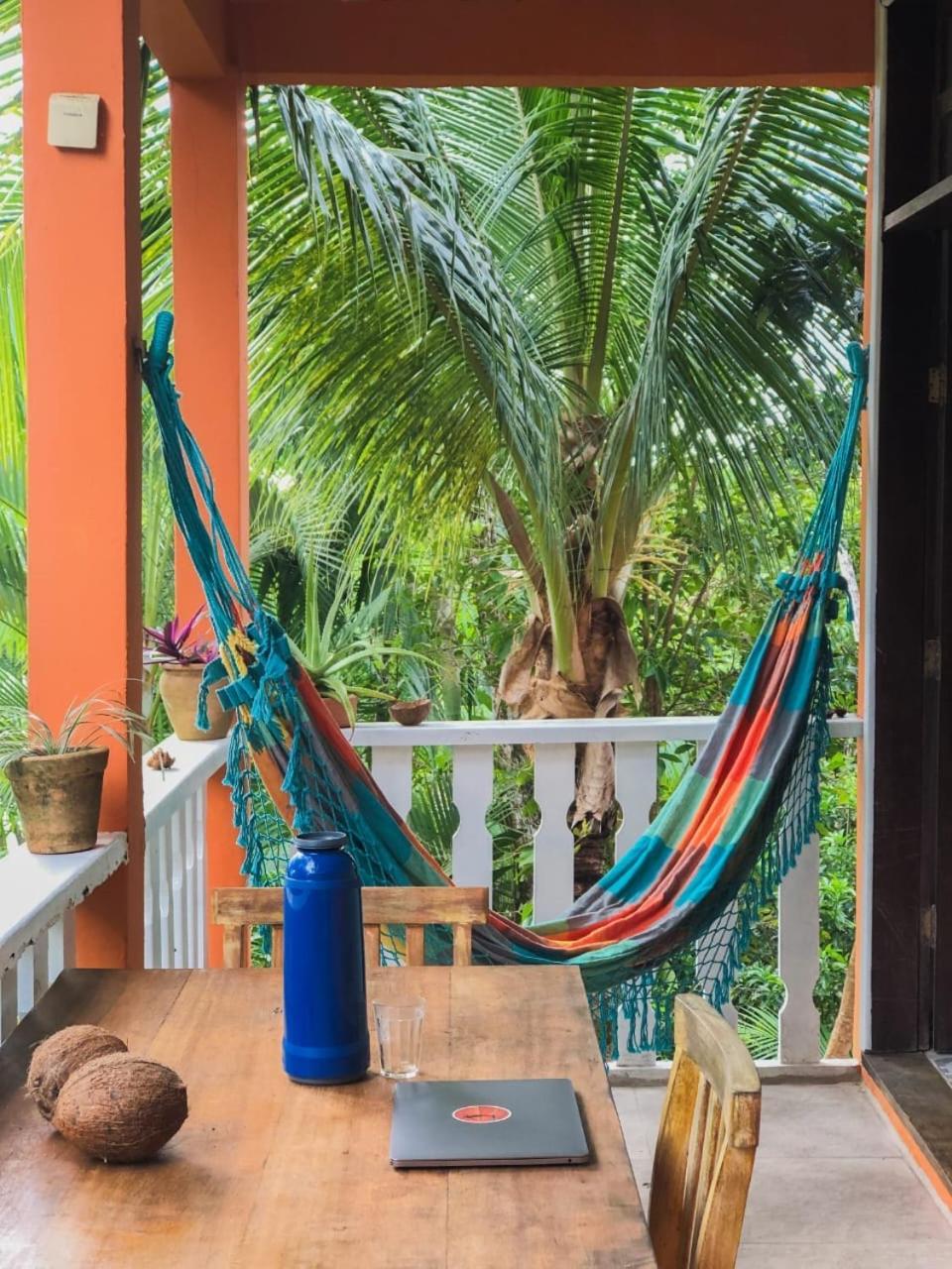 Hostel Zen - Casa Na Floresta Itacaré Exteriör bild